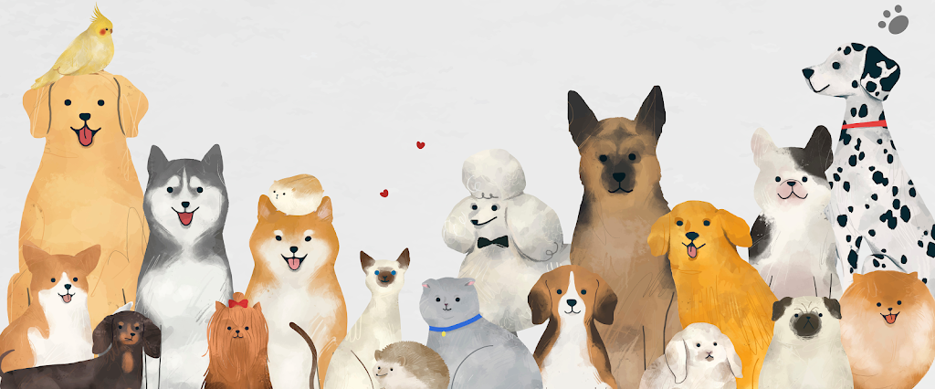 Pampered Pals Pet Care | 44 Evergreen Crescent, Wasaga Beach, ON L9Z 1B6, Canada | Phone: (705) 795-8523