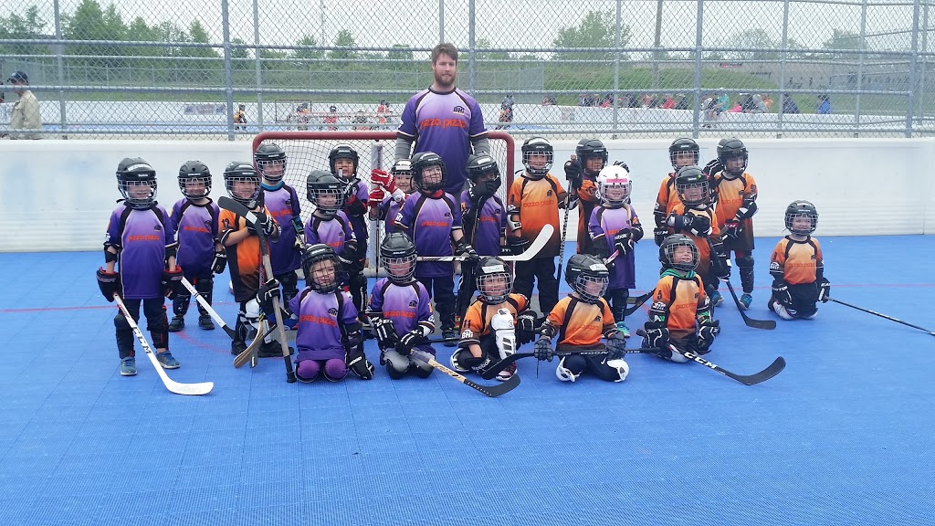 Ball Hockey International | 570 River Rd, Welland, ON L3B 5N6, Canada | Phone: (905) 735-4145