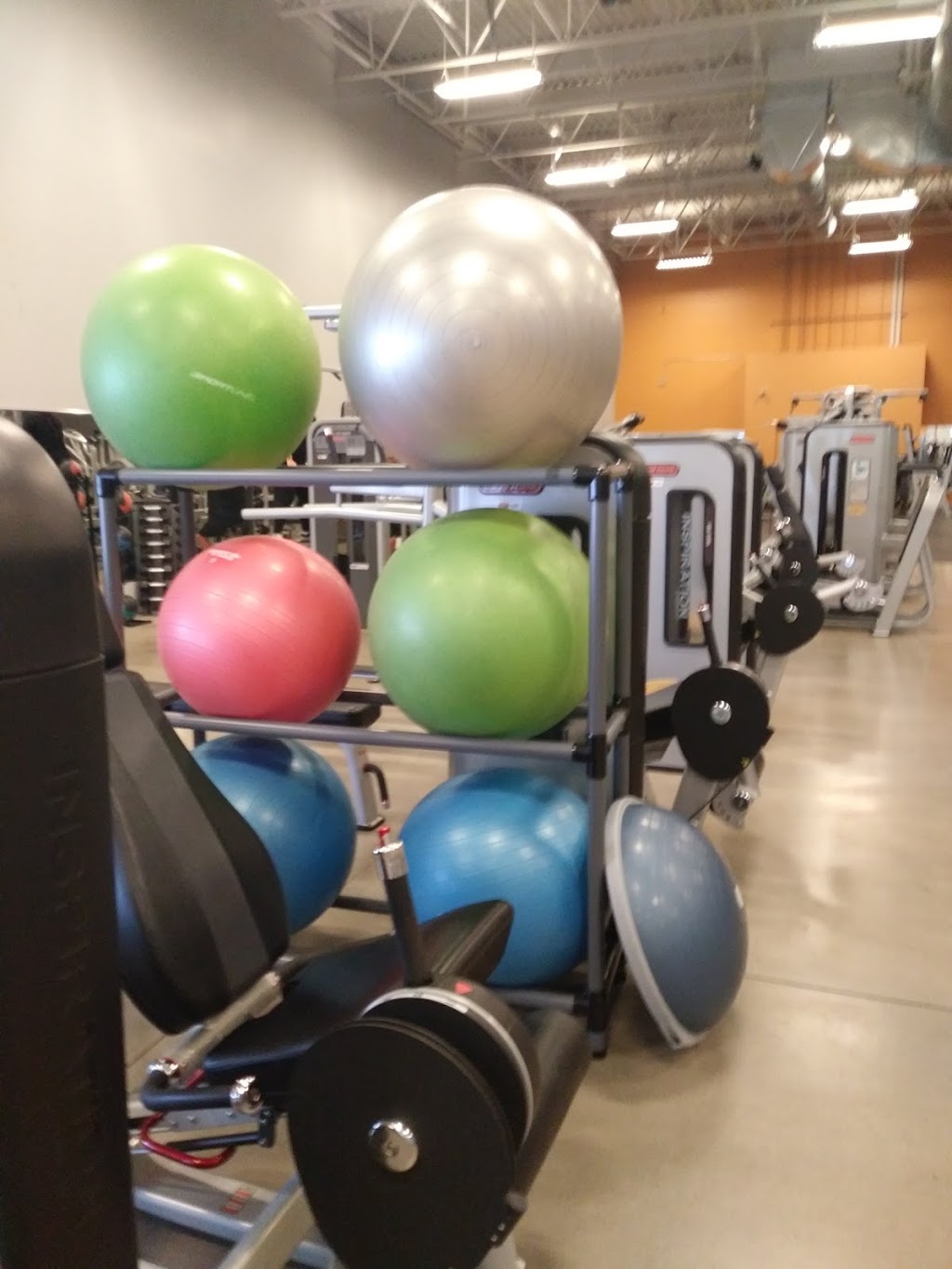 Fit4Less | 301 Confederation Dr #4, Saskatoon, SK S7L 5C3, Canada | Phone: (306) 249-5377