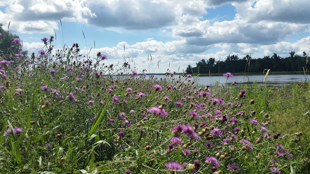Luther Marsh Wildlife Management Area | 034588 21 Side Road, Grand Valley, ON L9W 0H2, Canada | Phone: (519) 928-2832