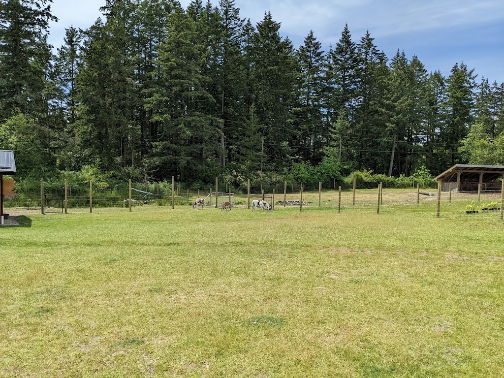 Yellow Point Farms | 4756 Yellow Point Rd, Ladysmith, BC V9G 1H2, Canada | Phone: (250) 268-1030