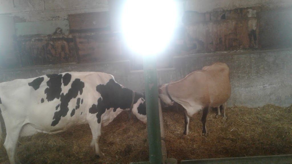 Woodstock Agricultural Society & Woodstock Fairgrounds | 875 Nellis St, Woodstock, ON N4S 4C6, Canada | Phone: (519) 537-8212