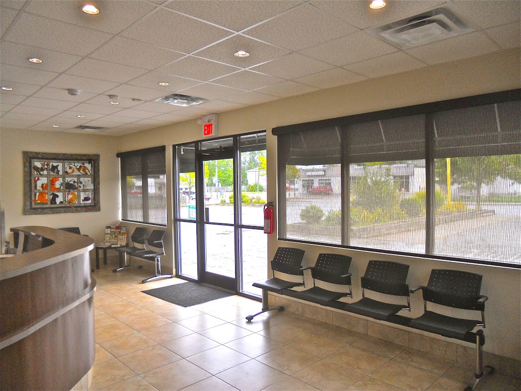 Wilsons Animal Hospital | 105 Hartzel Rd, St. Catharines, ON L2P 1N2, Canada | Phone: (905) 682-7857
