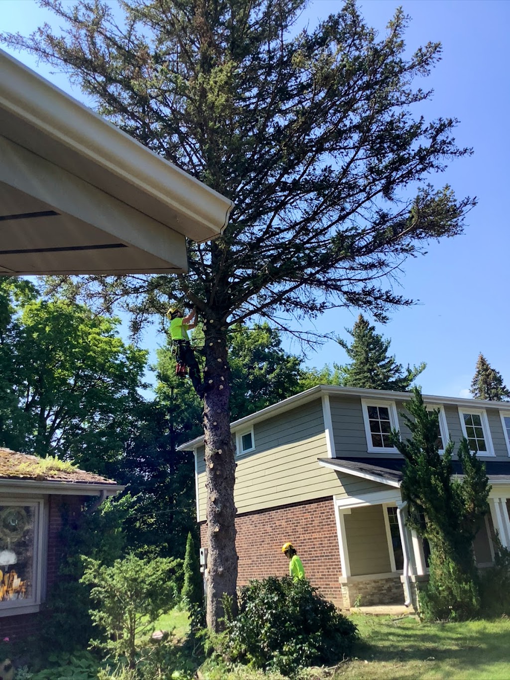 Columbus Tree Services | 20 Columbus Rd W, Oshawa, ON L1G 0G6, Canada | Phone: (416) 670-9851