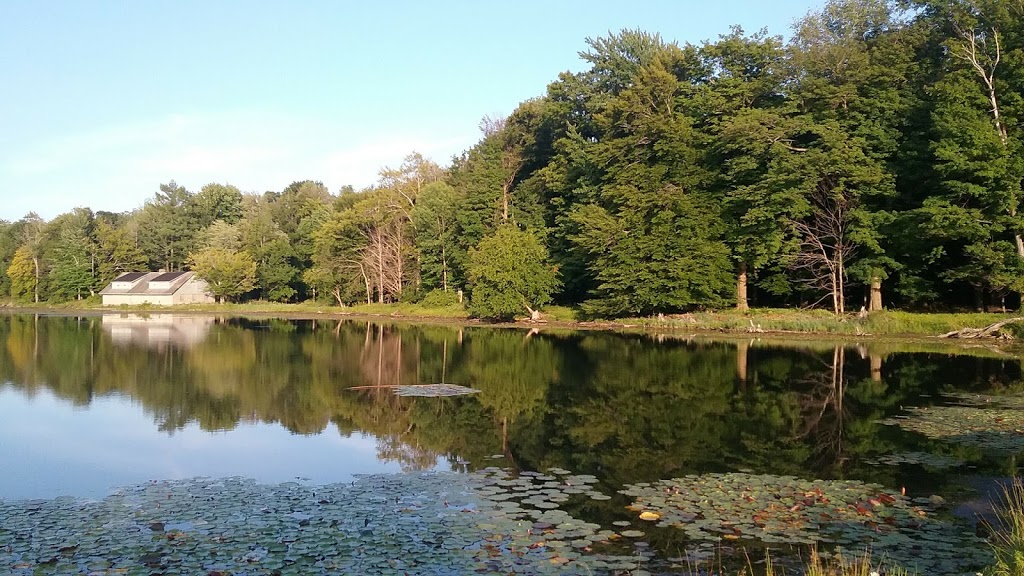 Reinstein Woods Nature Preserve | 93 Honorine Dr, Depew, NY 14043, USA | Phone: (716) 683-5959