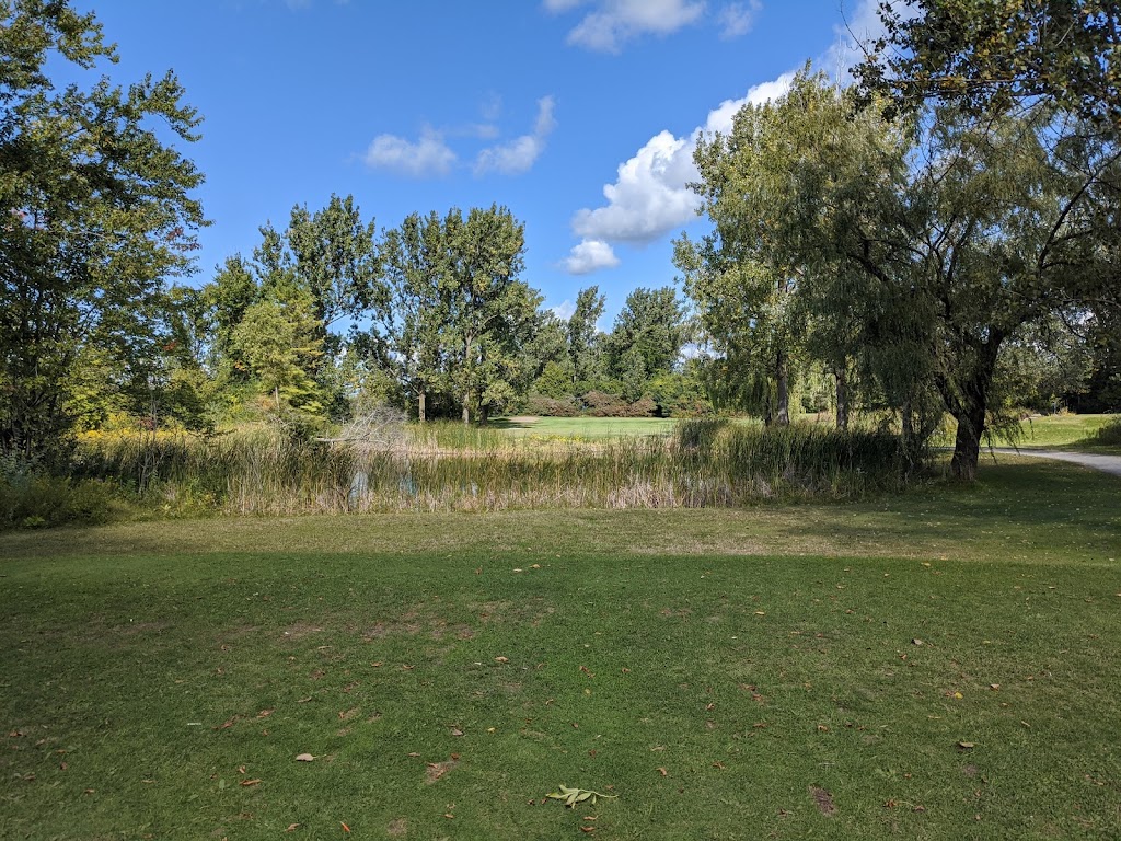 Beaverton Golf Course | 985 Concession Rd 3, Beaverton, ON L0K 1A0, Canada | Phone: (705) 794-8019
