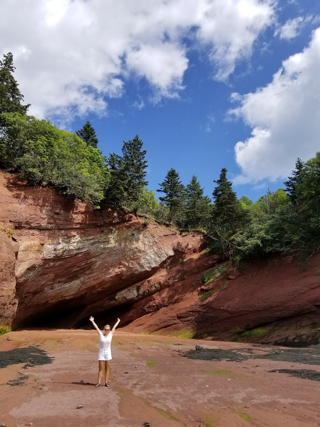 Century Farm Family Camp Ground | 67 Ocean Wave Dr, St. Martins, NB E5R 2E8, Canada | Phone: (506) 833-2357