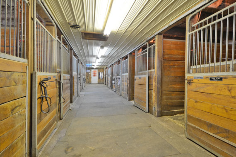Lake House Stables | 412 Townline Rd, Ashburn, ON L0B 1A0, Canada | Phone: (905) 441-3141