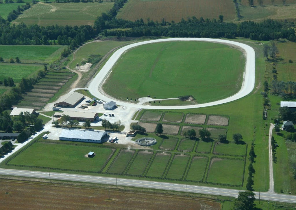 Ideal Training Centre | 5222 Wellington 125, Acton, ON L7J 2L9, Canada | Phone: (647) 406-4256