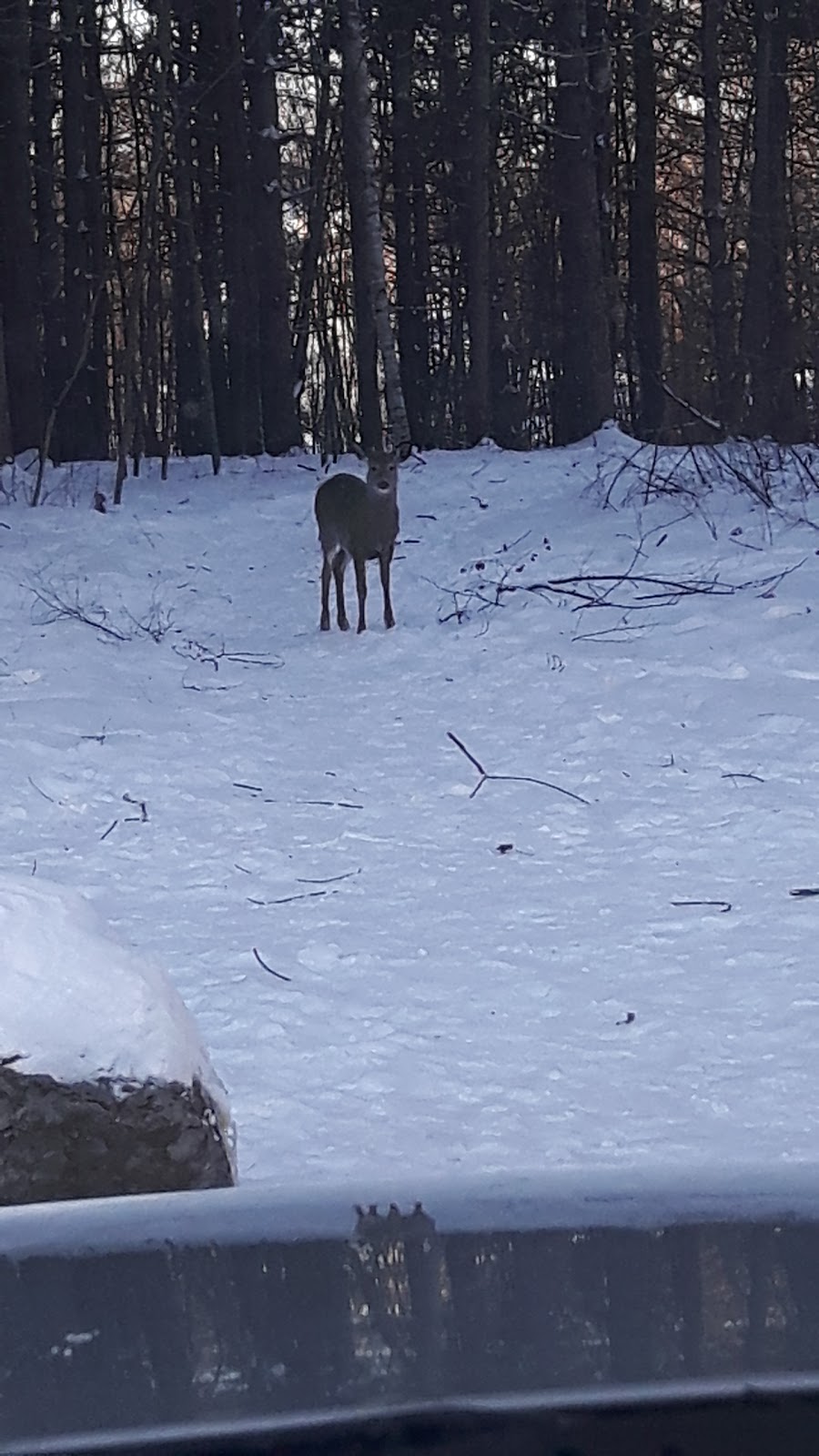 W. E. Burton Conservation Area | 602 Church St, Russell, ON K4R 1C4, Canada