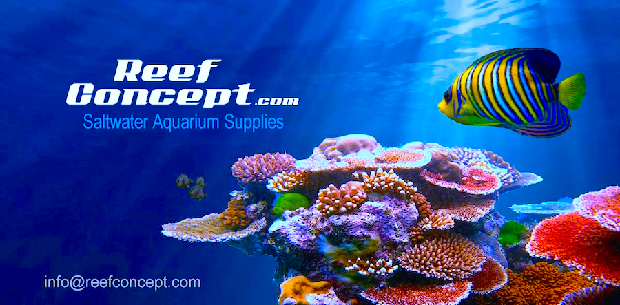 Reef Concept | 141 Avenue Ramabel, Saint-Félix-de-Valois, QC J0K 2M0, Canada