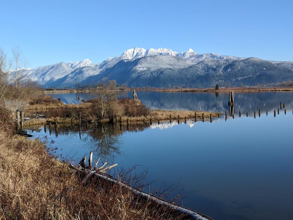 De Boville Slough | 4110 Cedar Dr, Coquitlam, BC V3E 3H7, Canada | Phone: (604) 927-7946