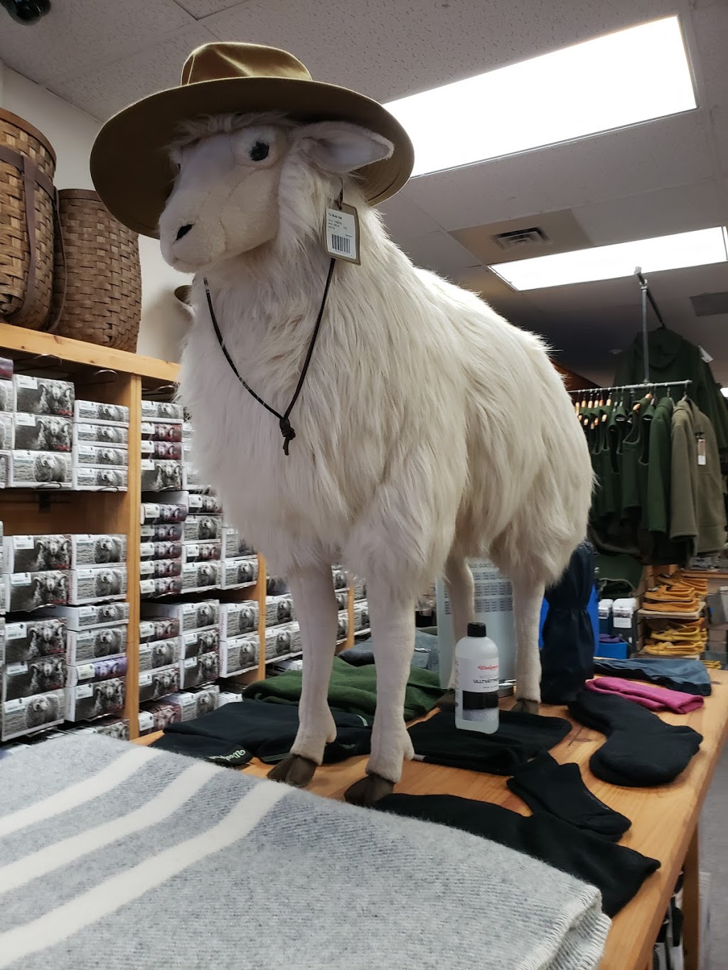 The Canadian Outdoor Equipment Co. | 199 Lakeshore Rd E, Mississauga, ON L5G 1G2, Canada | Phone: (905) 990-1750