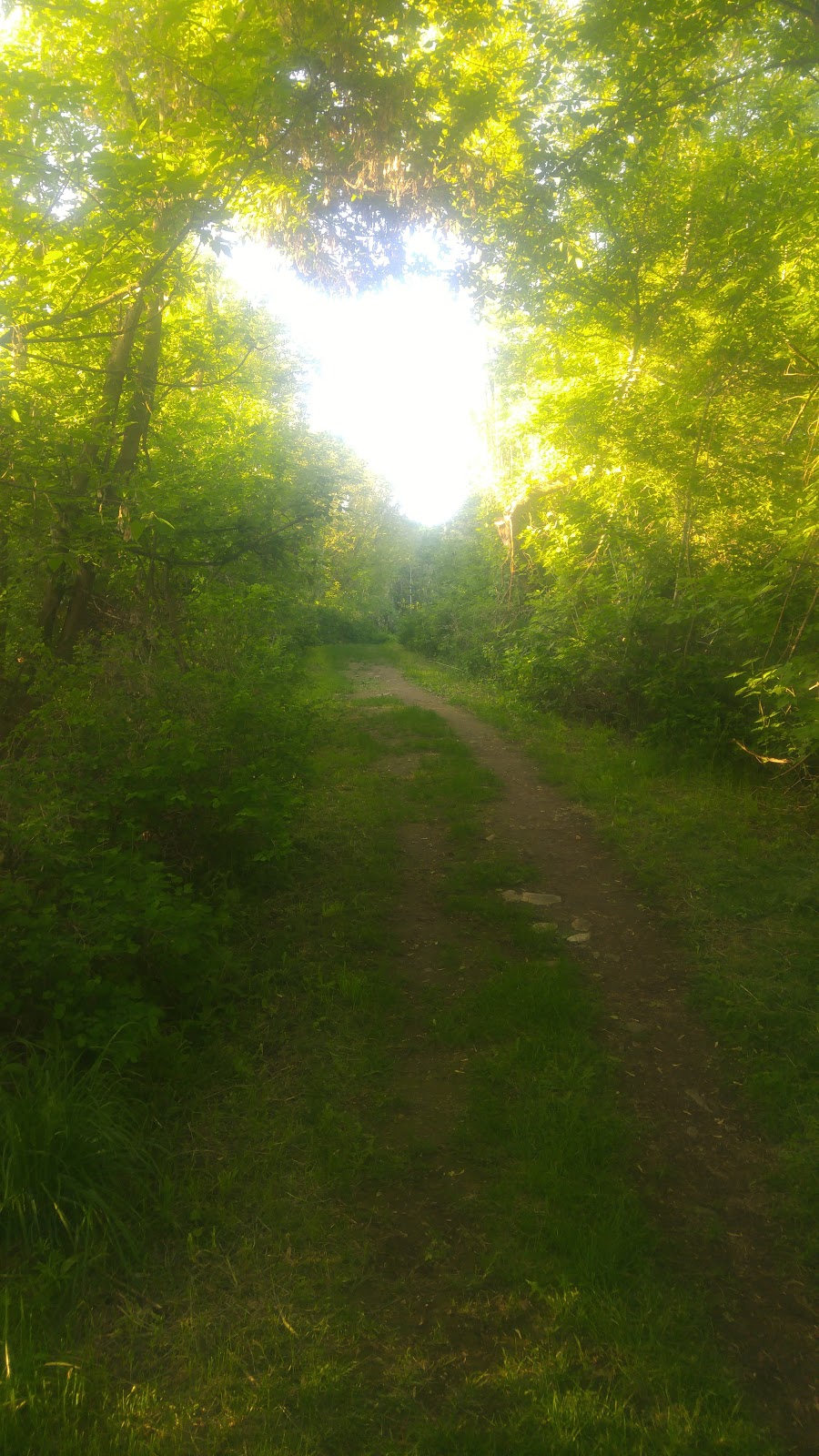 Silverstar Grey Canal Trail | Rugg Rd, Vernon, BC V1B 3S9, Canada