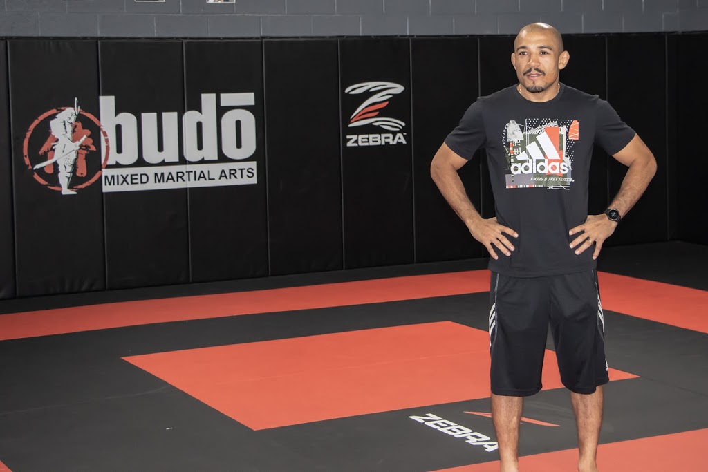 Budo Canada | 38C Apex Rd, North York, ON M6A 2V2, Canada | Phone: (416) 780-1300
