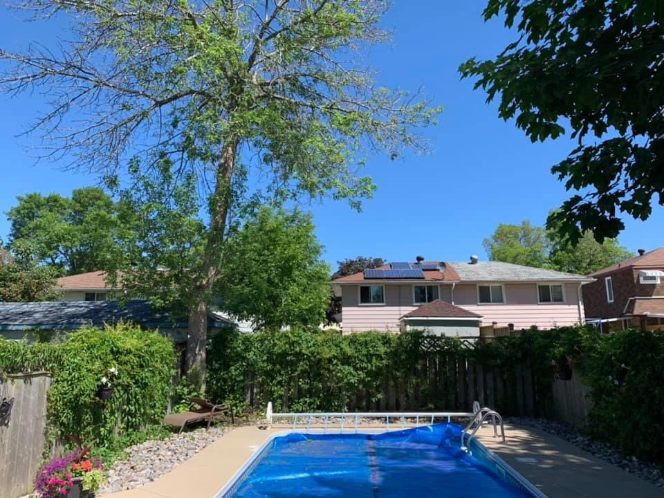 Active Tree Care | 000 Nash Rd, Courtice, ON L1E 2J9, Canada | Phone: (289) 356-1466