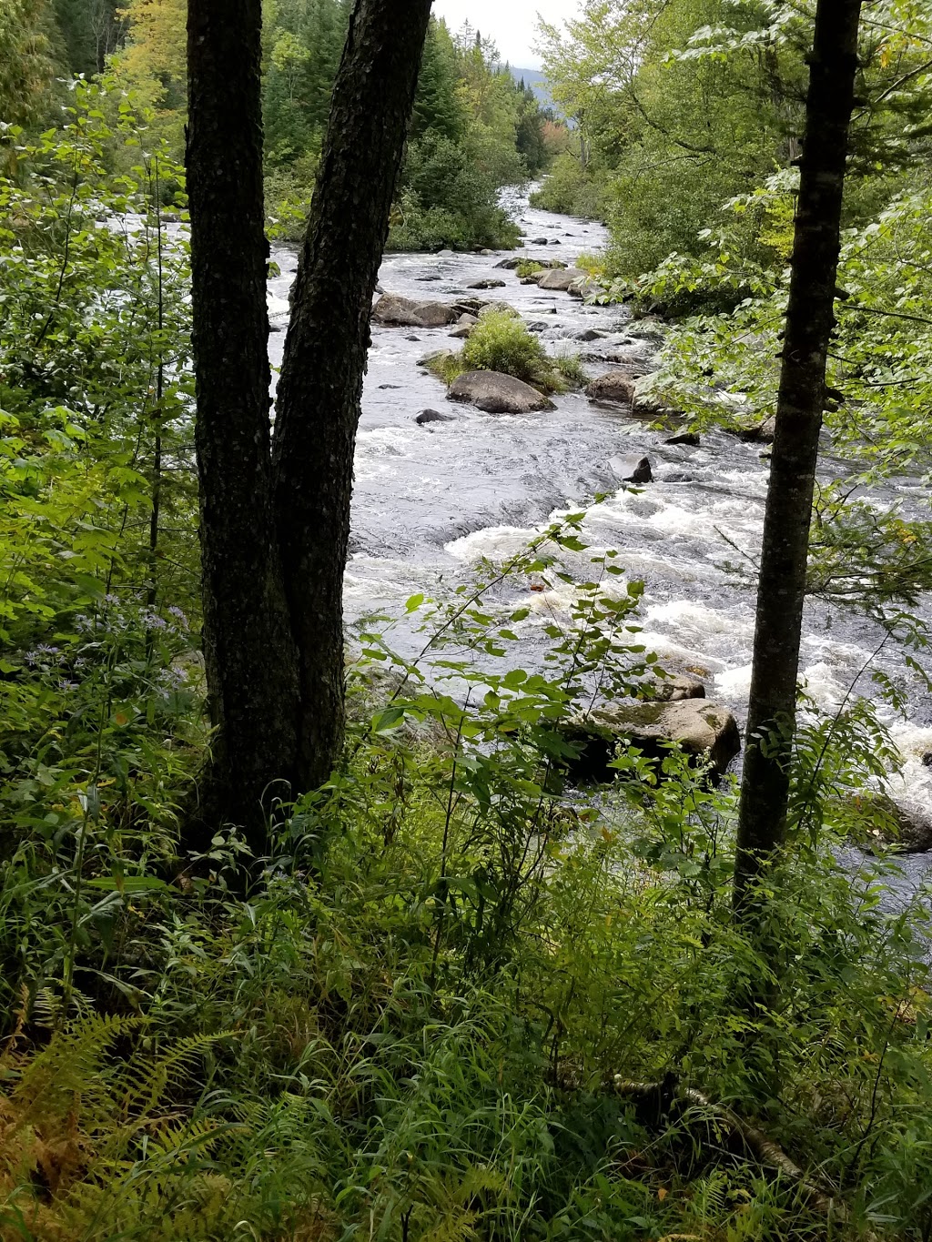 Silvio O. Conte National Fish and Wildlife Refuge - Nulhegan Bas | 5396 VT-105, Brunswick, VT 05905, USA | Phone: (802) 962-5240
