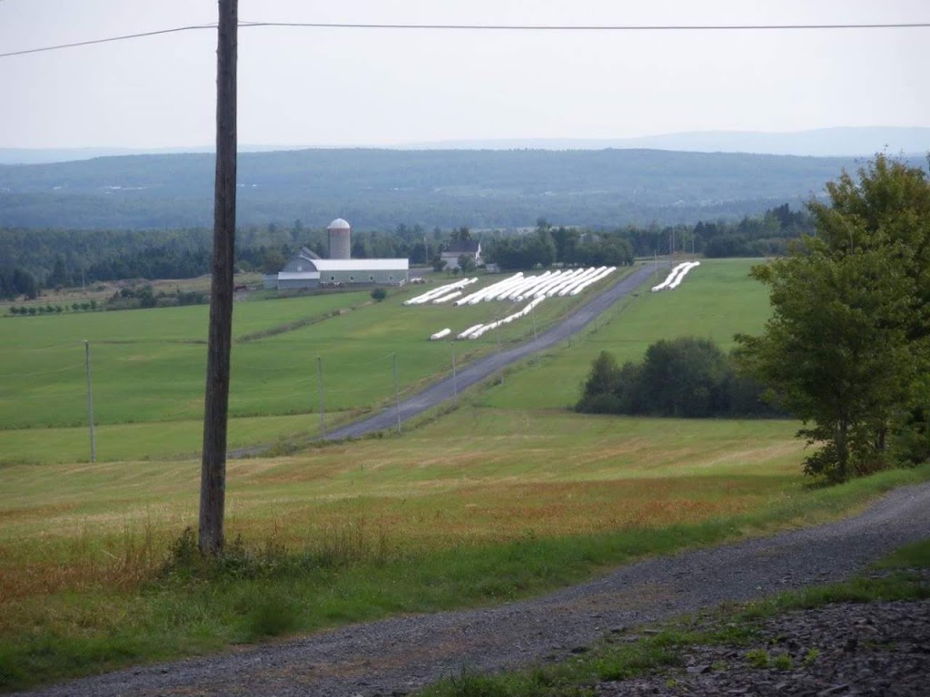 Ferme Milvie Senc | 620 rang 9 St-benoit-Lâbre, Saint-Benoît-Labre, QC G0M 1P0, Canada | Phone: (418) 228-7399
