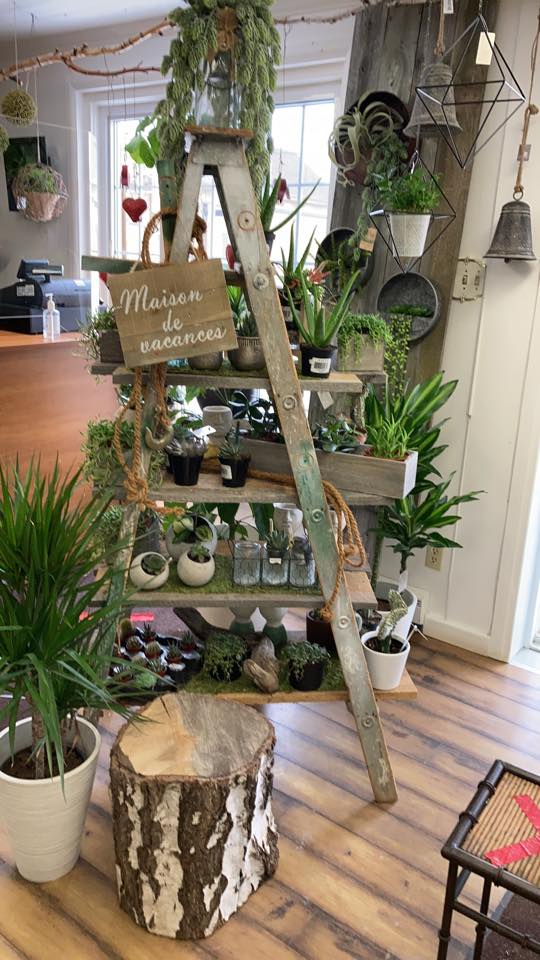 Fleuriste Beau Site | 612 Rue Taché, Saint-Pascal, QC G0L 3Y0, Canada | Phone: (581) 801-0024