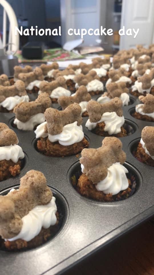 Bad Dog Bakery | 16 Ridge Rd, Deep River, ON K0J 1P0, Canada | Phone: (613) 584-1701