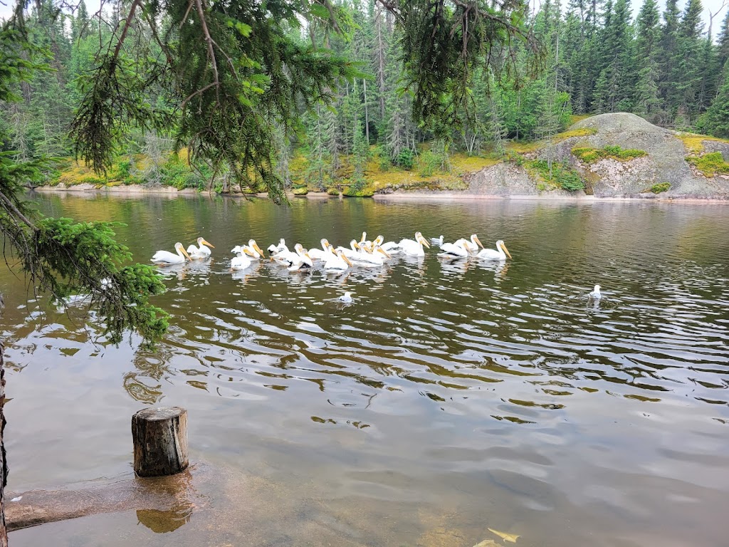 Halleys Camps One Man Lake Lodge | Minaki, ON P0X 1P0, Canada | Phone: (800) 465-3325