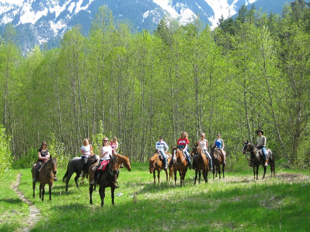 Adventures On Horseback | 7476 Prospect St, Pemberton, BC V0N 2L0, Canada | Phone: (604) 894-6269