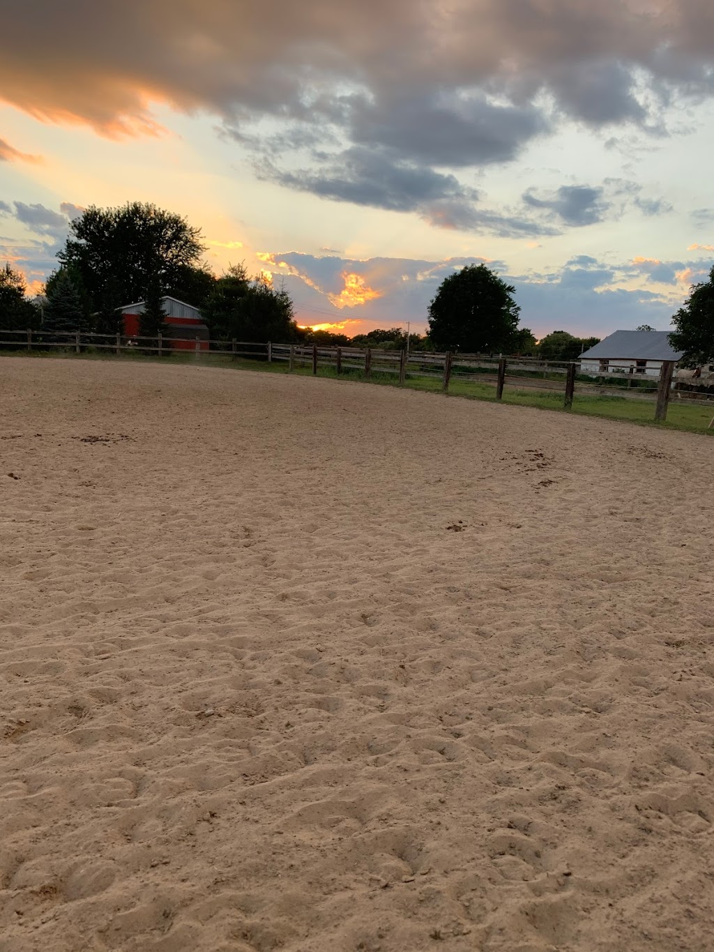Hse Stables | 44135 Sparta Line, St Thomas, ON N5P 3S8, Canada | Phone: (519) 633-1054