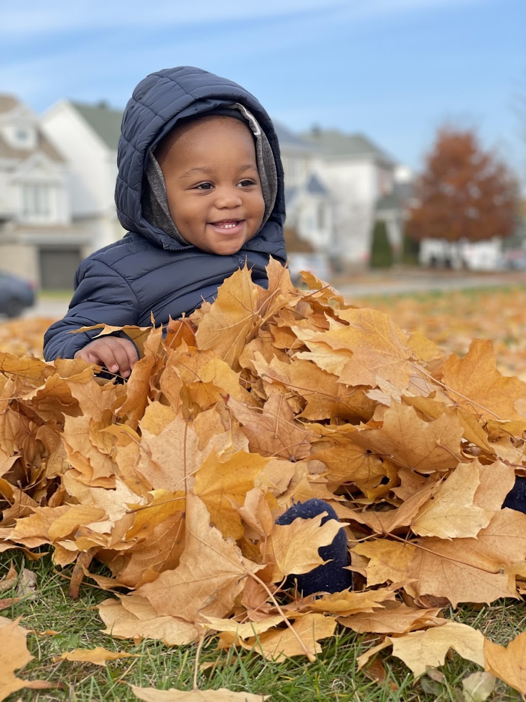 Nursery Tala | 3656 Rue Jessica, Laval, QC H7P 5V8, Canada | Phone: (438) 936-4152