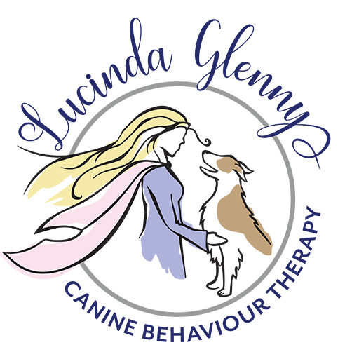 Canine Behaviour Therapy | 31 Fallingbrook Dr, 1 Laidlaw Blvd, Markham, ON M1N 1B5, Canada | Phone: (647) 883-1597