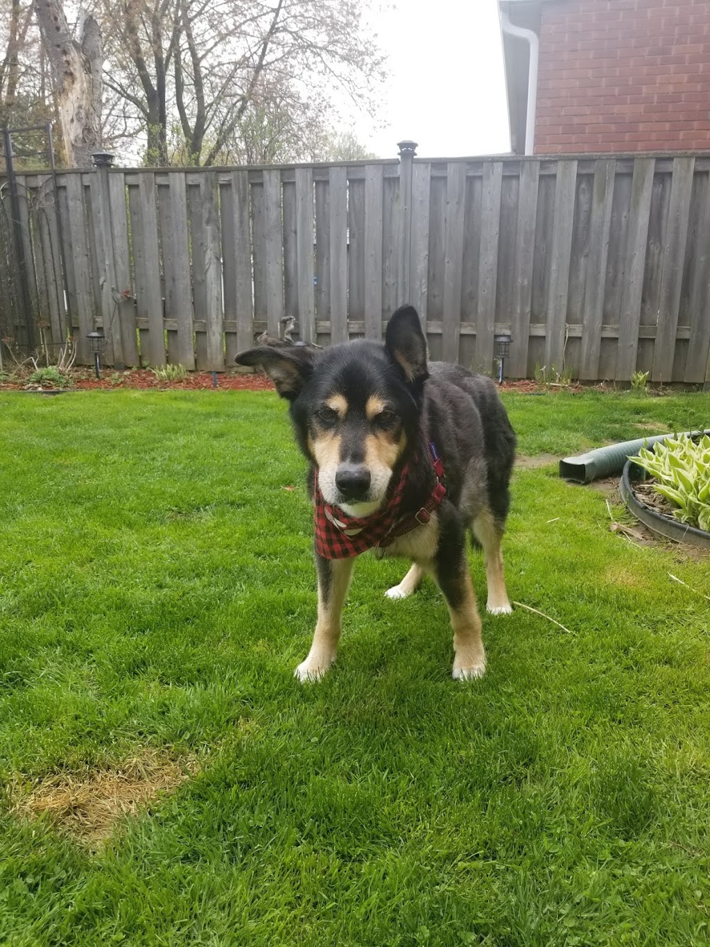 Gateway Pet Memorial | 2929 Thompson Rd, Smithville, ON L0R 2A0, Canada | Phone: (800) 227-6915