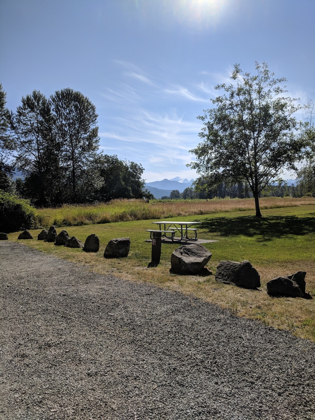 Nugents Corner River Access | 3685 Mt Baker Hwy, Everson, WA 98247, USA | Phone: (360) 599-2776