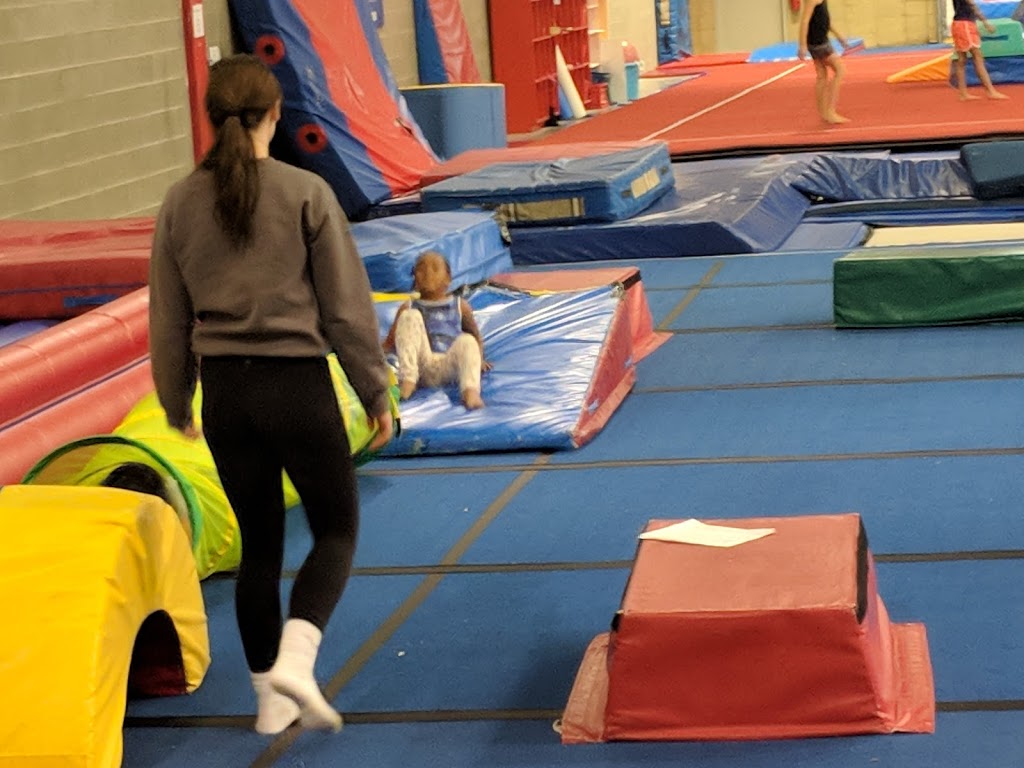 Altadore Gymnastic Club | 10905 48 St SE #128, Calgary, AB T2C 3E1, Canada | Phone: (403) 720-2711