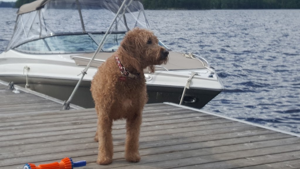 Campbells Landing Marina Limited | 1956 Muskoka District Road 169, Gravenhurst, ON P1P 1R2, Canada | Phone: (705) 687-3821
