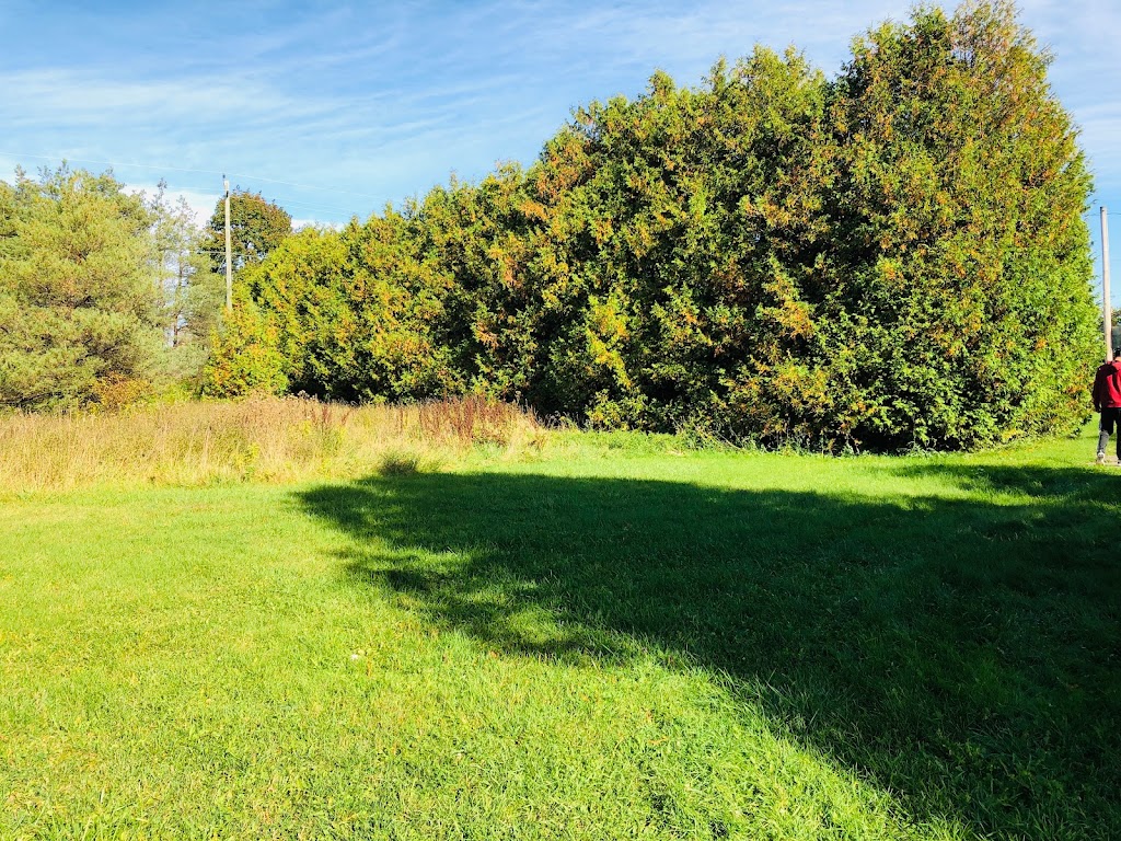 Peel Landscaping Ltd | 19002 Hurontario St, Caledon Village, ON L7K 1W6, Canada | Phone: (519) 927-9404
