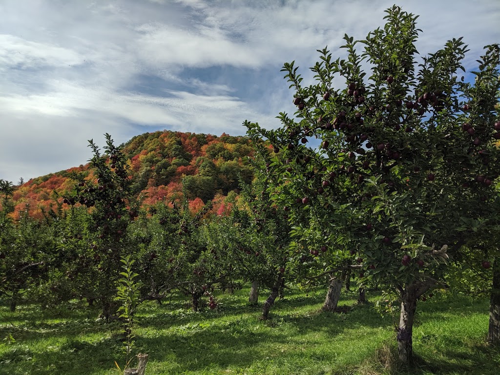 Vergers Paul Jodoin Inc | 1173 La Petite Caroline, Rougemont, QC J0L 1M0, Canada | Phone: (450) 446-3154