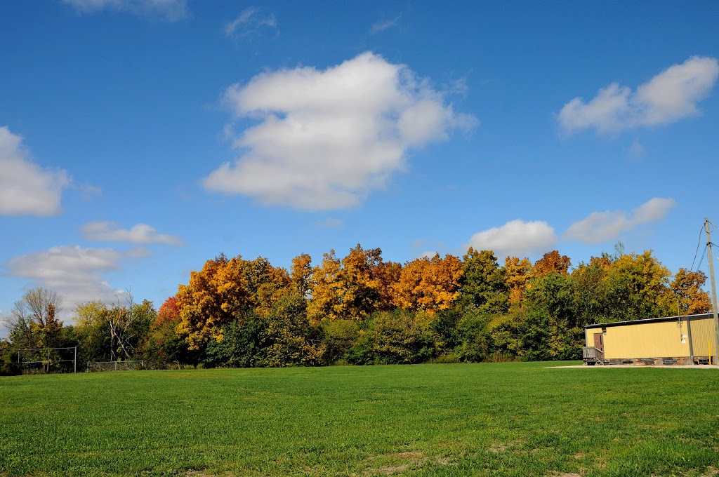 Trelawny Public School | 3420 Trelawny Cir, Mississauga, ON L5N 6N6, Canada | Phone: (905) 824-0360