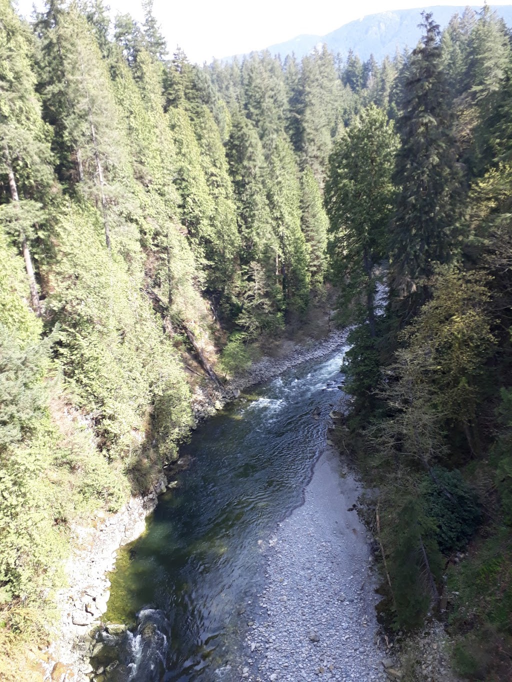 Capilano Reserve Park | West Vancouver, BC V7P 1P7, Canada | Phone: (604) 417-2469