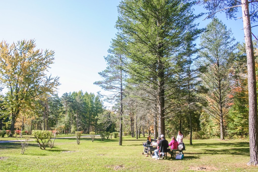 Springwater Provincial Park | 1331 ON-26, Midhurst, ON L0L 1X0, Canada | Phone: (705) 728-7393