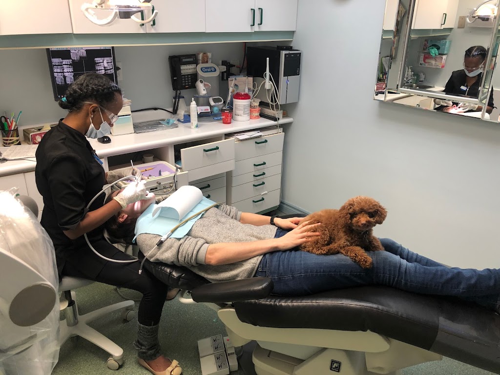 Centre Dentaire Lasalle Dr Alyce Fischer & Associés | 8463 Blvd. Newman, LaSalle, QC H8N 2Y7, Canada | Phone: (514) 364-3366