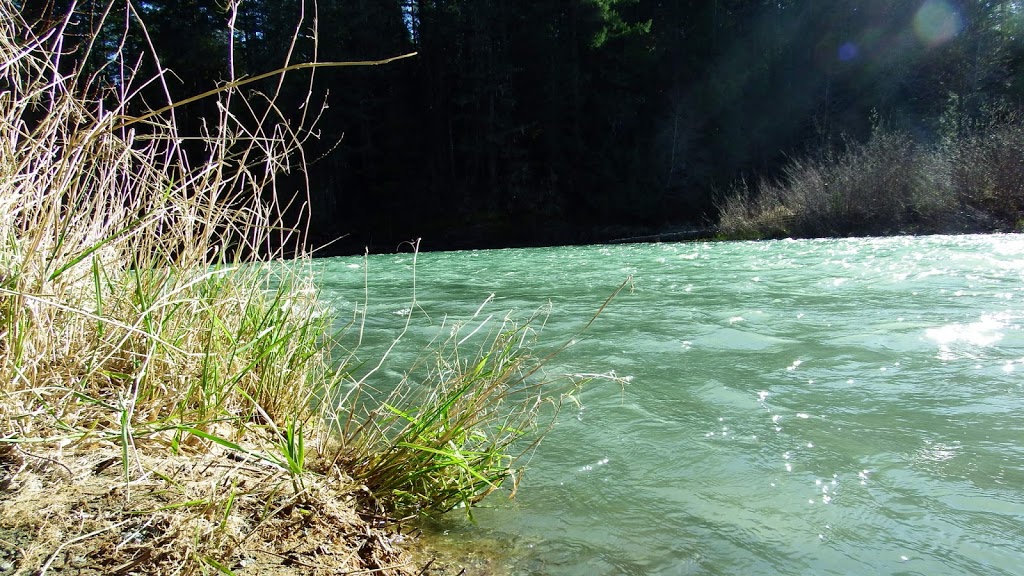 Stoltz Pool | Cowichan Valley F, BC, Canada