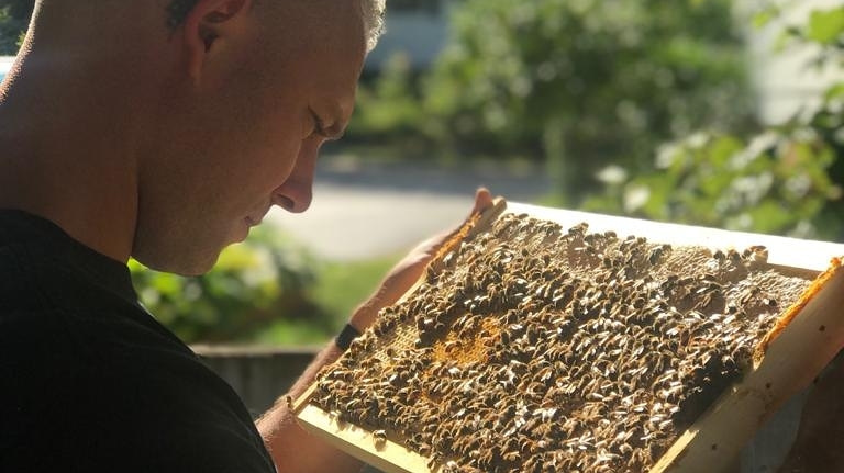 Rogue Honey | 4199 Highland Park Dr, Beamsville, ON L0R 1B7, Canada | Phone: (416) 554-1548