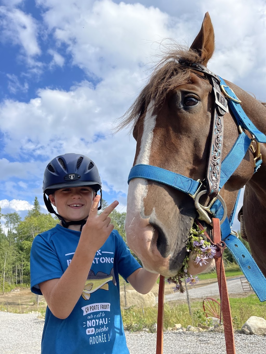 Equestrian Center Deserto | 117 Chem. Baskatong, La Vallée-de-la-Gatineau, QC J0W 1E0, Canada | Phone: (819) 660-9039
