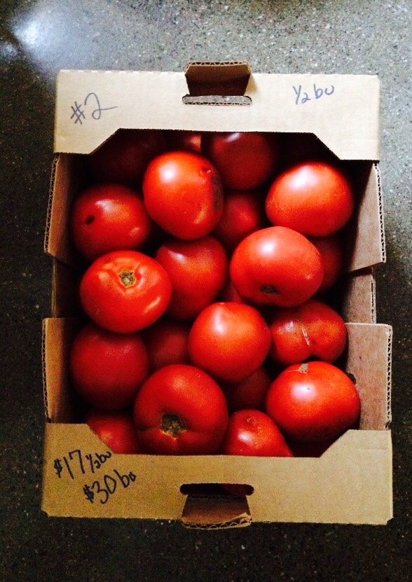 Landis Fruit Market | 503 Hastings St N, Bancroft, ON K0L 1C0, Canada | Phone: (613) 332-6830