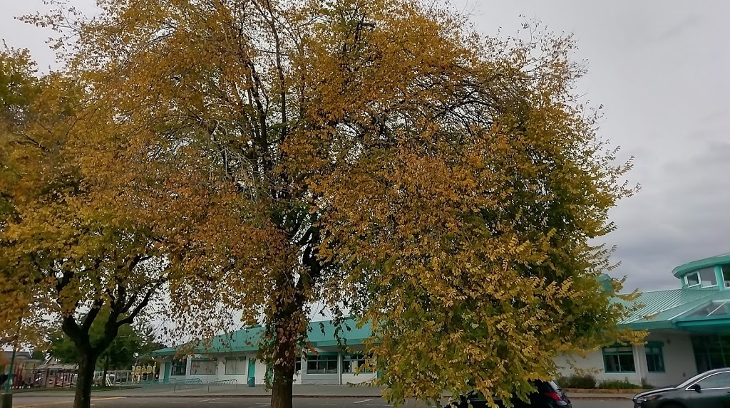 Lord Byng Elementary | 3711 Georgia St, Richmond, BC V7E 6M3, Canada | Phone: (604) 668-6649