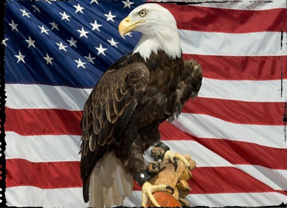 Hawk Creek Wildlife Center | 1963 Mill Rd, East Aurora, NY 14052, USA | Phone: (716) 652-8646