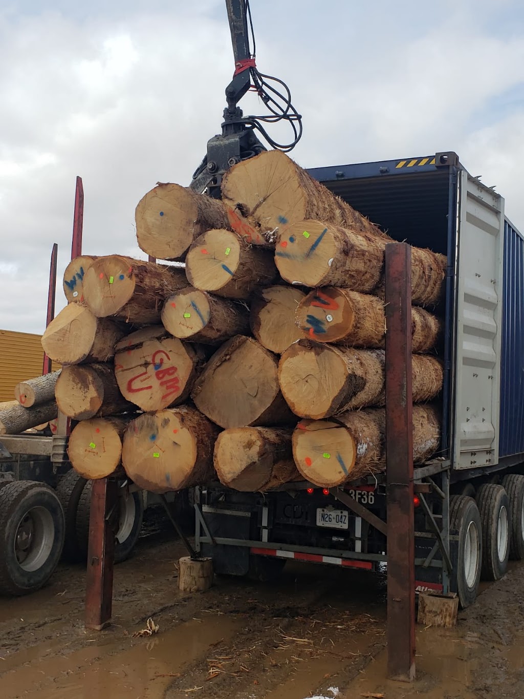 Vk Global Trading Inc. | 33898 Pine St #102, Abbotsford, BC V2S 2P3, Canada | Phone: (604) 746-7901