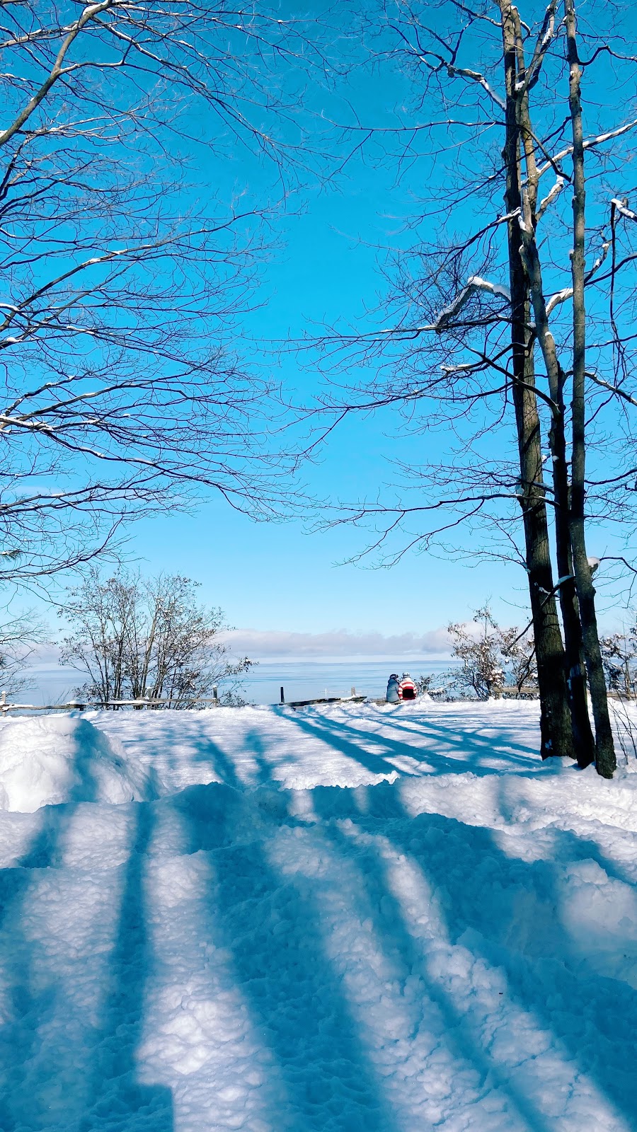 Woodview Mountain Top Skating | 201 Scenic Caves Road Unit AW2, The Blue Mountains, ON L9Y 0P2, Canada | Phone: (833) 583-2583