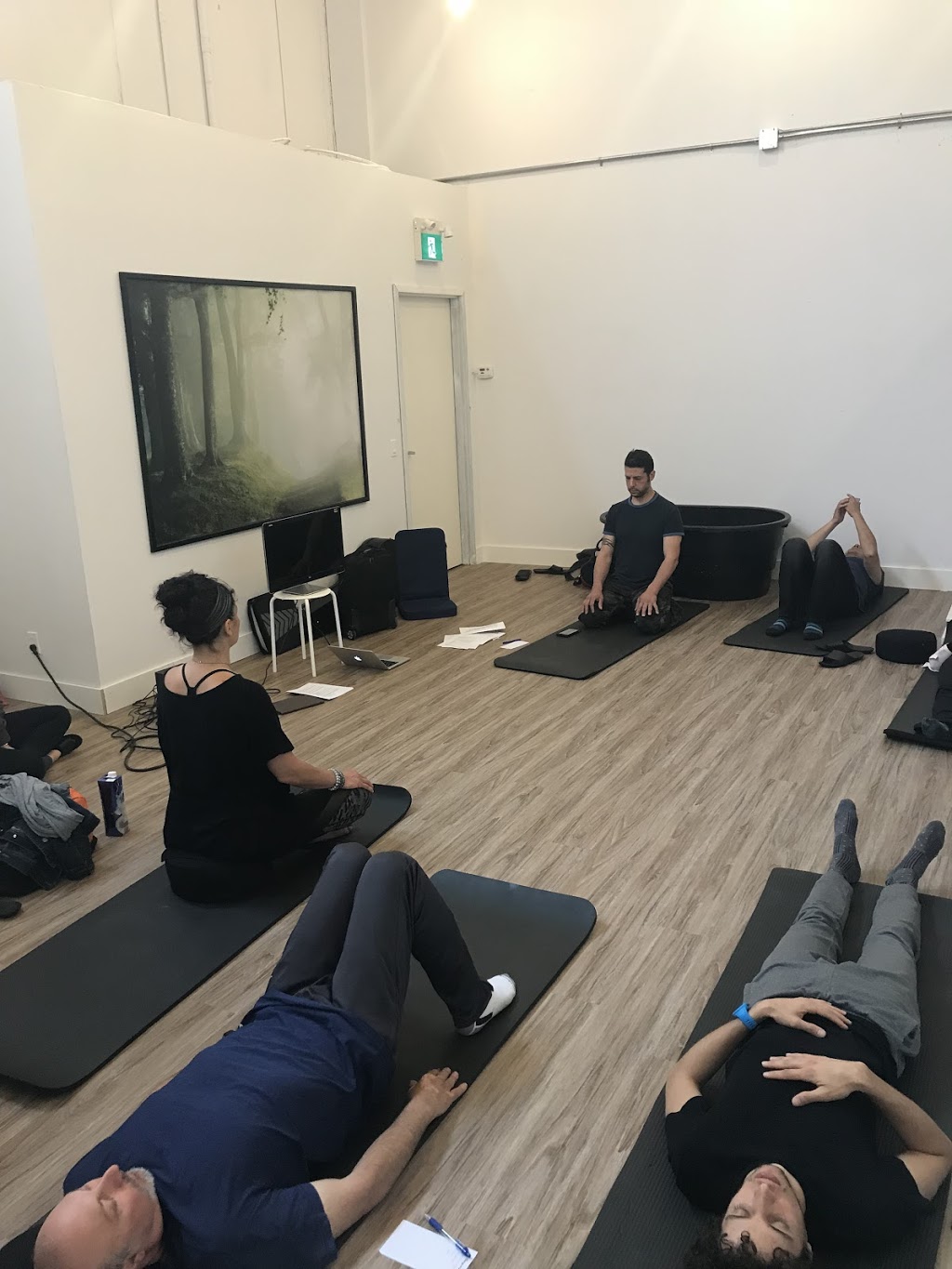 Elemental Wellness Studio | 999 Edgeley Blvd #3, Concord, ON L4K 5Z4, Canada | Phone: (905) 669-4222