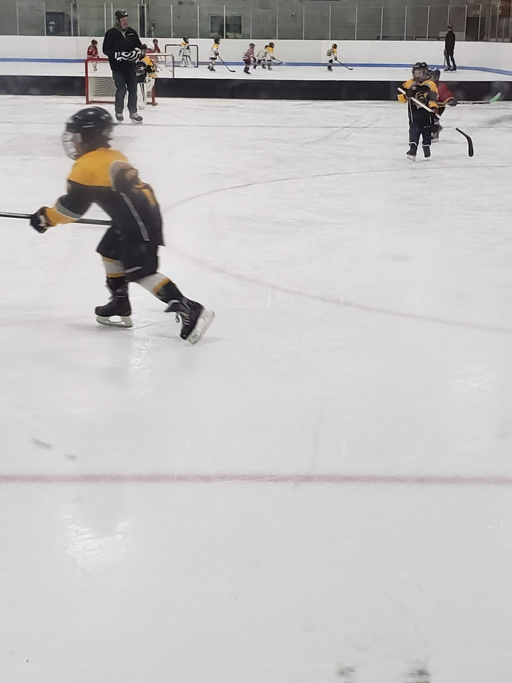 Tavistock & District Recreation Centre (Arena) | 1 Adam St, Tavistock, ON N0B 2R0, Canada | Phone: (519) 655-2102