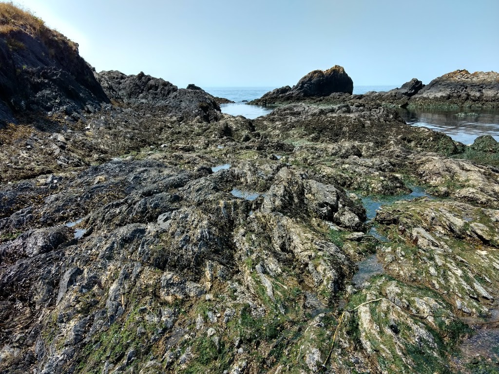 Tidal Pools | Rosario Beach, WA, USA